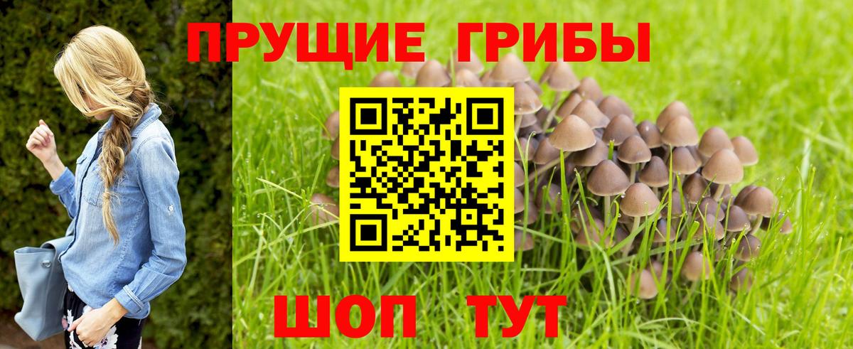 Урюпинск  Псилоцибиновые грибы мицелий  где продают наркотики  Вход с VPN 
